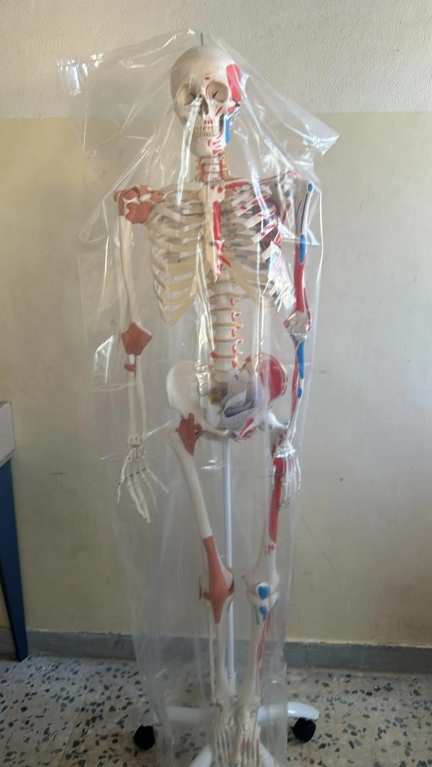 الشروع في تركيب معامل كليتي الطب البشري والصيدلة