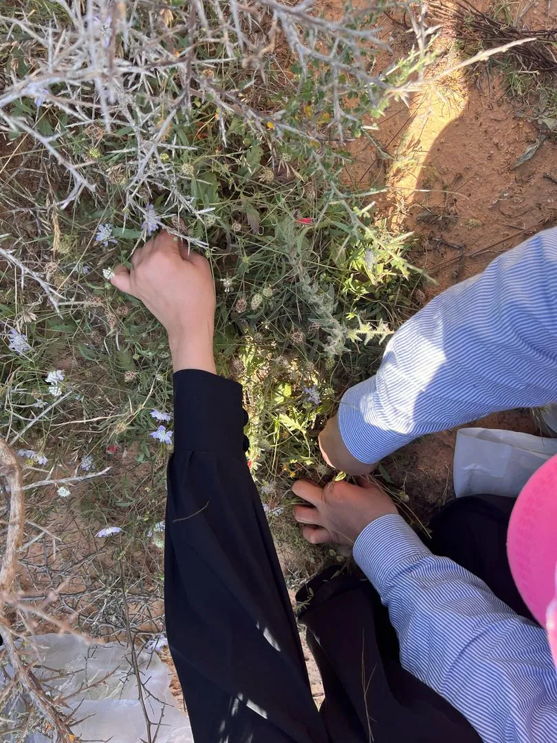 اليوم العلمي معاً لتخريج صيدلة أكفاء