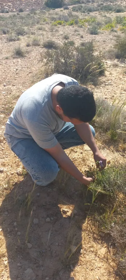 اليوم العلمي معاً لتخريج صيدلة أكفاء