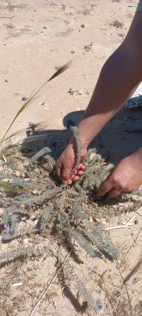 اليوم العلمي معاً لتخريج صيدلة أكفاء