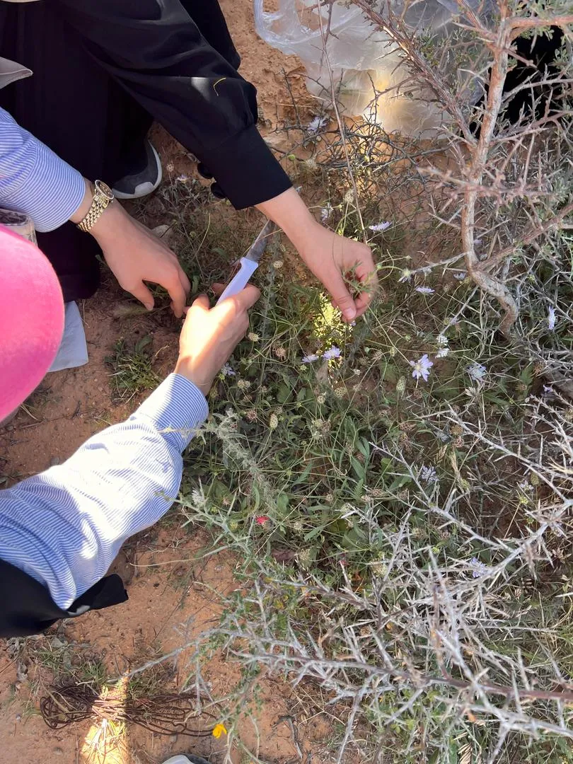 اليوم العلمي معاً لتخريج صيدلة أكفاء
